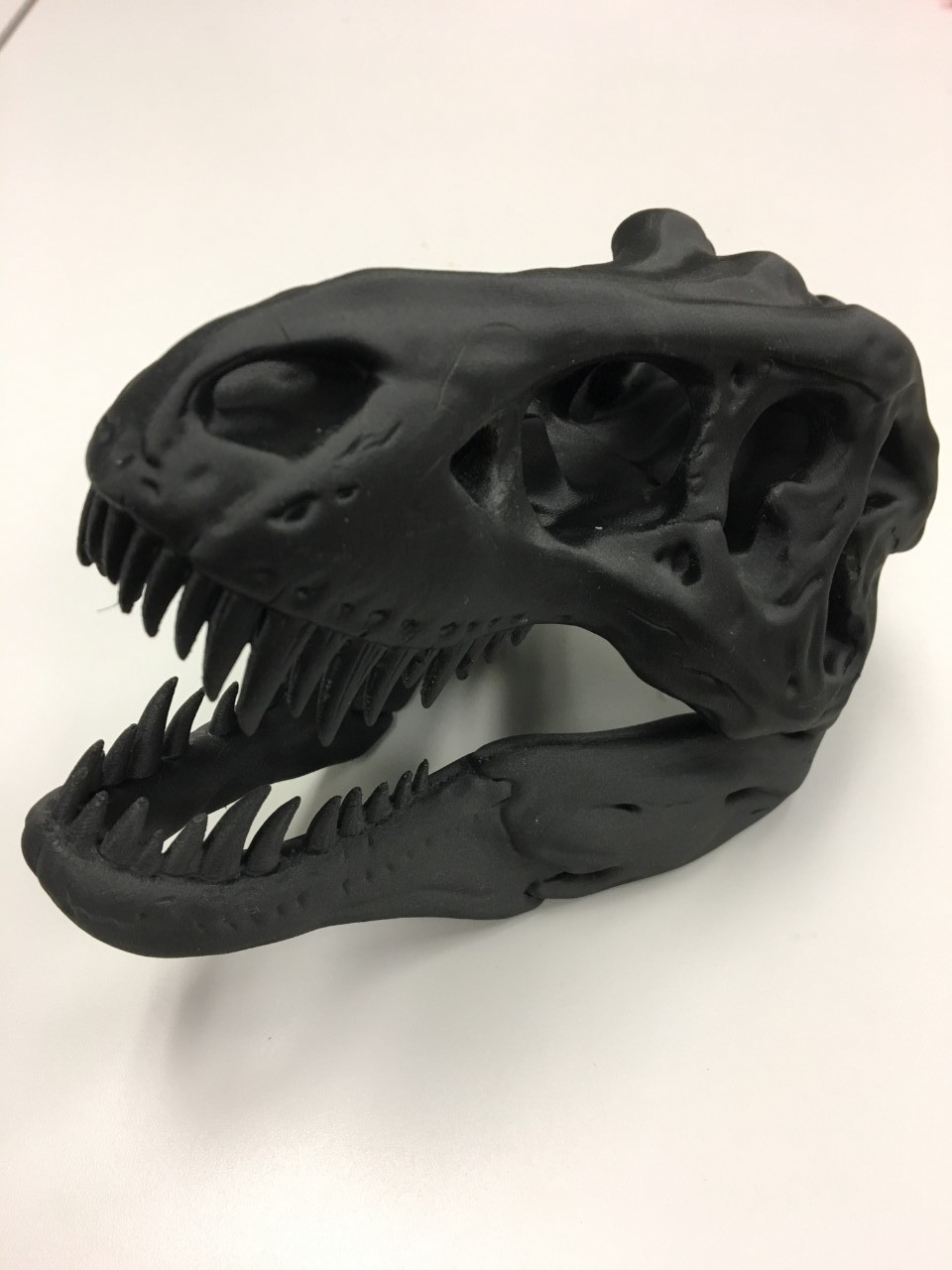 3D printed T-Rex Skull