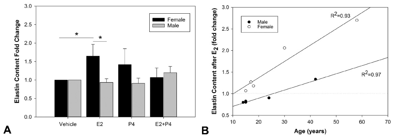 Graph depicting elastin and hormones