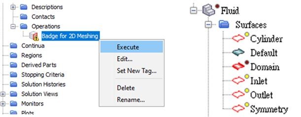 Execution of badge for 2D meshing