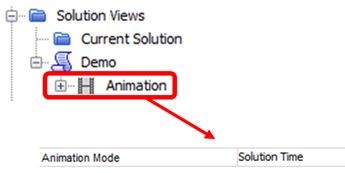 Turning video animation on for solution view