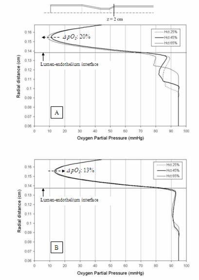 Graphs depicting radial pO2 variation in the recirculation region for the basal flow