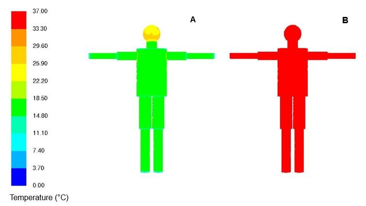  Tissue temperature distribution in the human body diagram