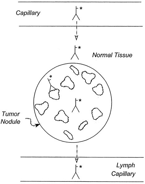 Schematic representation of the one-step protocol